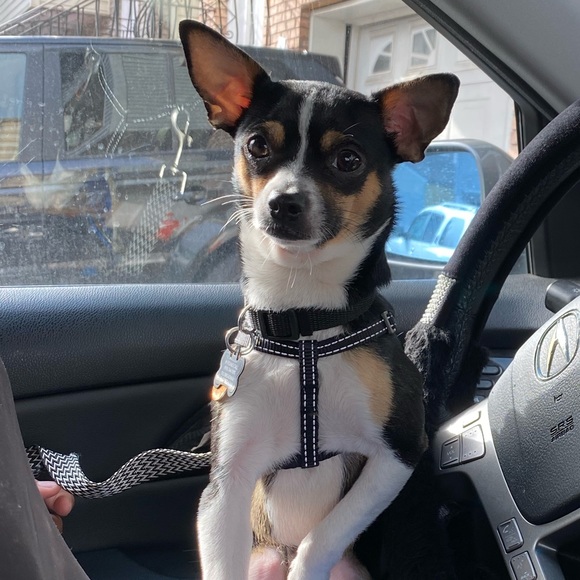 wendy_zelaya